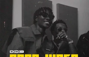 Didi B – Good Vibes Ft. Zinoleesky