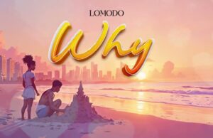 Lomodo – Why Lomodo - Why