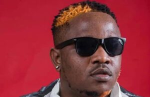 Chester More Power – Palya