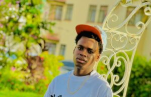 Momox – Ananipa