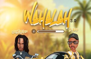 Multimike – Wahalah Ft. B-Red