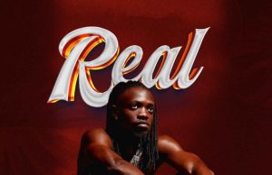 Mcsan Mr FineLines – Real