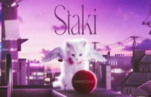 Hanstone – Staki