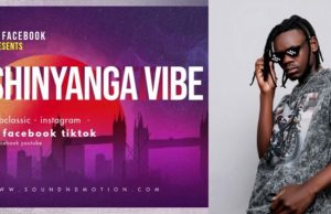 DJ FACEBOOK – SHINYANGA VIBE MEGA MIX NONSTOP