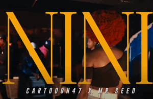 Cartoon 47 – Nini Ft Mr Seed