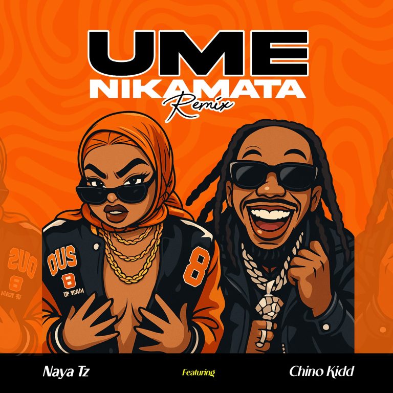 Naya Tz Ft Chino Kidd - Umenikamata Remix