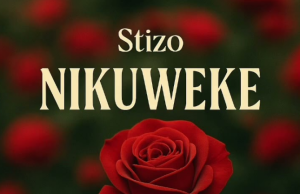 Stizo – Nikuweke