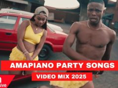 Best Amapiano Mix 2025 By Dj Marl