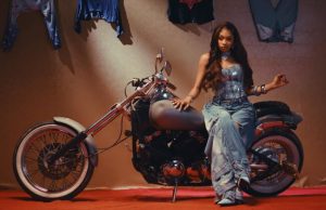 Shashl – Perfect Somebody