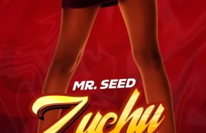 Mr Seed – Zuchu