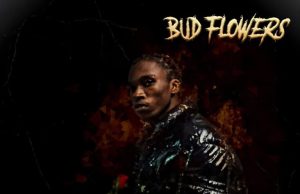Toxic Lyrikali – Bud Flowers
