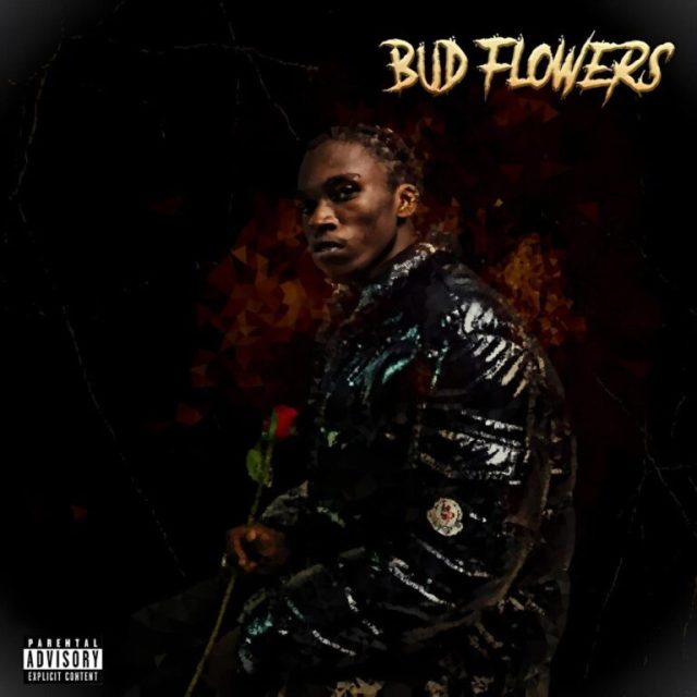 Toxic-Lyrikali-Bud-Flowers-768x768 (1)