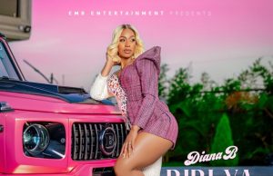 Diana Bahati – Bibi Ya Tajiri